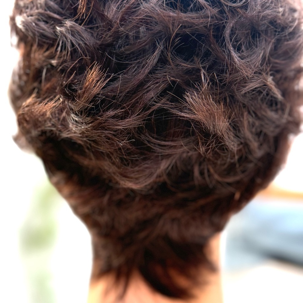 Short Curly Pixie Wig in Dark Brown - Women Hair - Picture 6 of 15